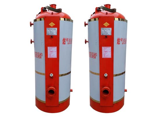 0.12噸、 0.2噸立式燃?xì)猓ㄈ加停┱羝仩t